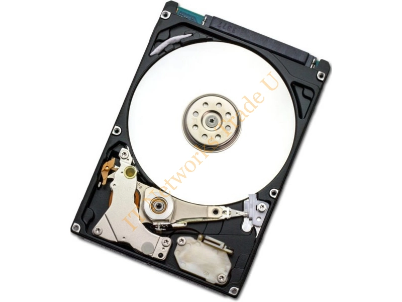 0A60319 - HGST Endurastar J4K320 80GB 80GB Serial ATA internal hard drive