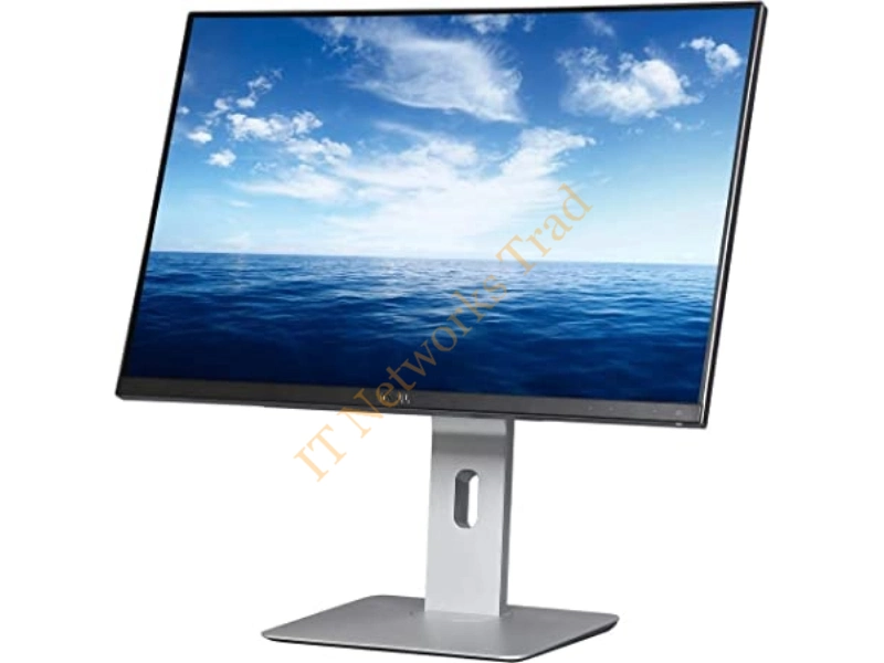 0U2415 Dell 24-Inch Widescreen 1920 x 1200 HD Display  LED Monitor