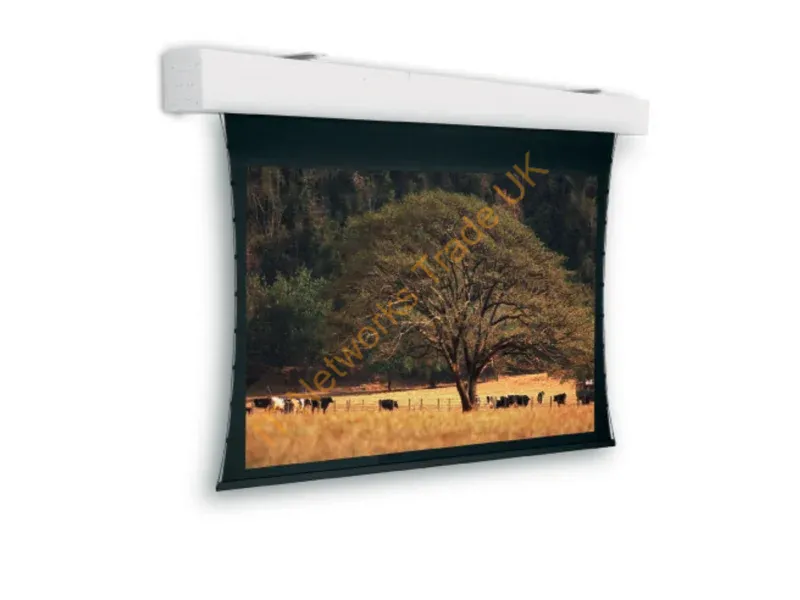 10101074 - Da-Lite Tensioned Elpro Large Electrol projection screen 5.05 m (199") 16:9