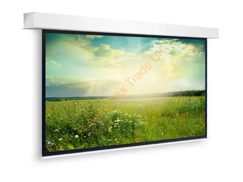 10101464 - Da-Lite Descender Large Electrol projection screen 5.77 m (227") 16:10