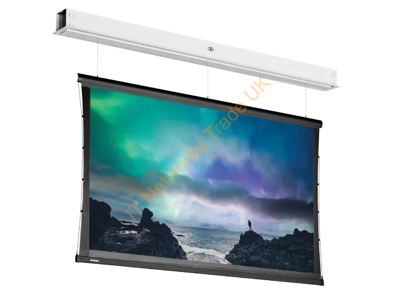 10101620 - Da-Lite DescenderPro projection screen 3.33 m (131.1") 16:9