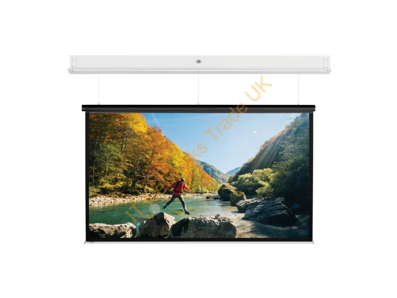 10101742 - Da-Lite DescenderPro projection screen 4:3