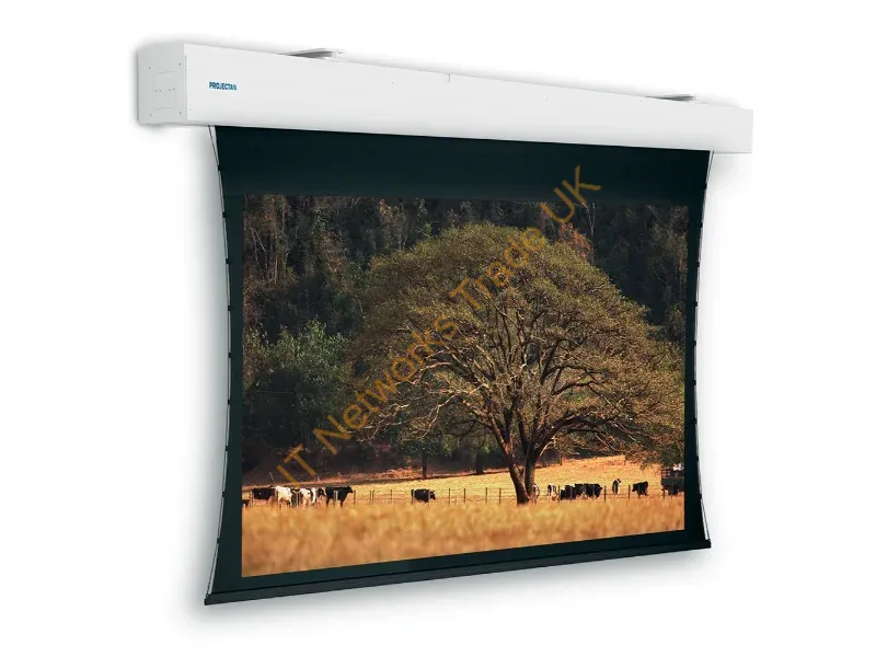 10102686 - Da-Lite Tensioned Elpro Large Electrol 229 x 400 cm projection screen 4.47 m (176") 16:9