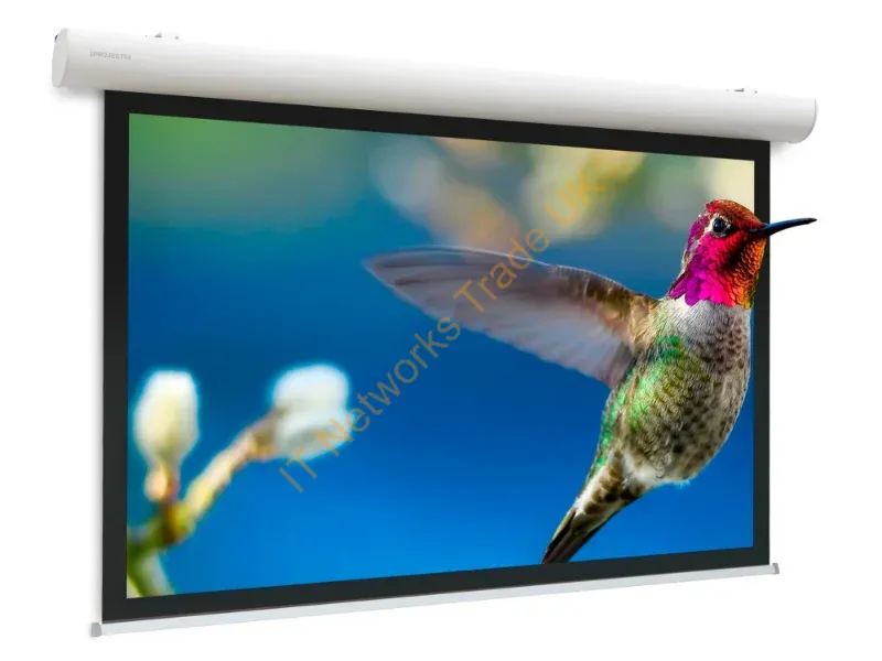 10103494 - Da-Lite Elpro Concept projection screen 2.87 m (113") 4:3