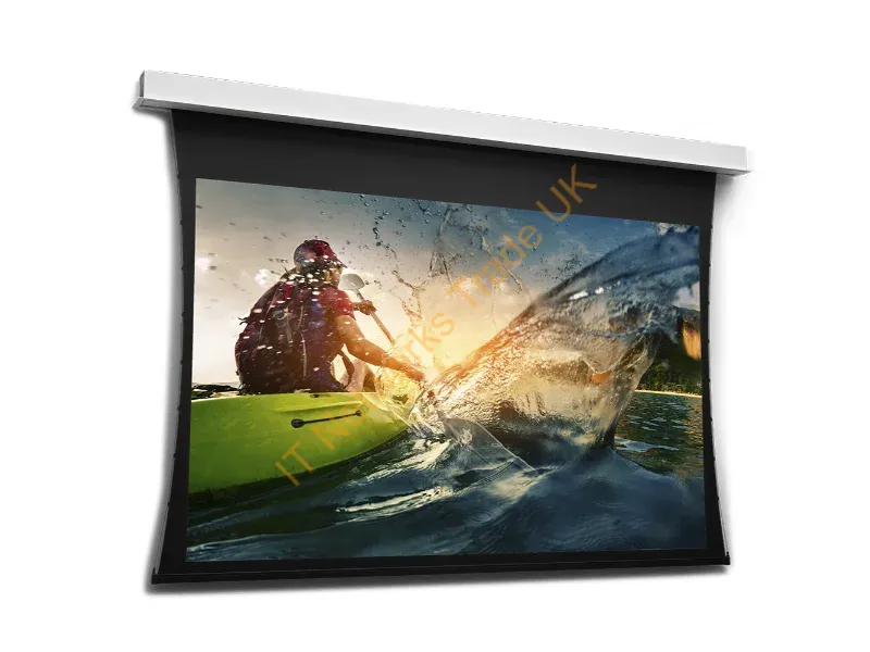 10106614 - Da-Lite Tensioned DescenderPro projection screen 4.02 m (158.3") 16:9