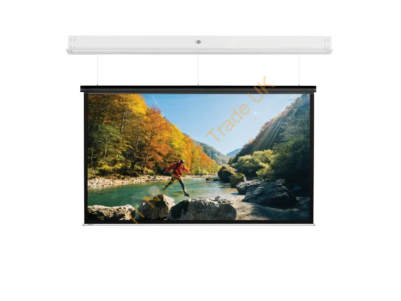 10141738 - Da-Lite DescenderPro projection screen 2.88 m (113.4") 4:3