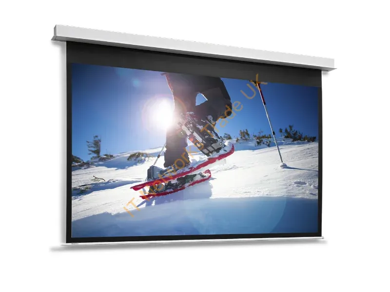 10144745 - Da-Lite DescenderPro projection screen 4.13 m (162.6") 4:3