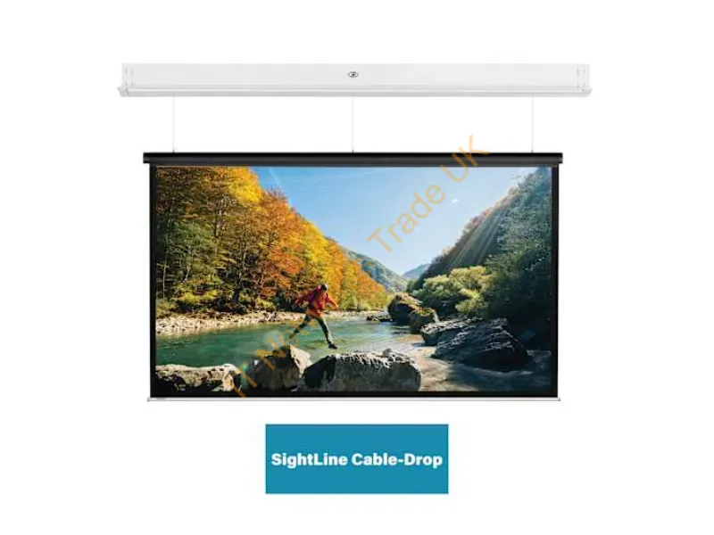 10145738 - Da-Lite 10145738 projection screen 30 cm (11.8") 4:3