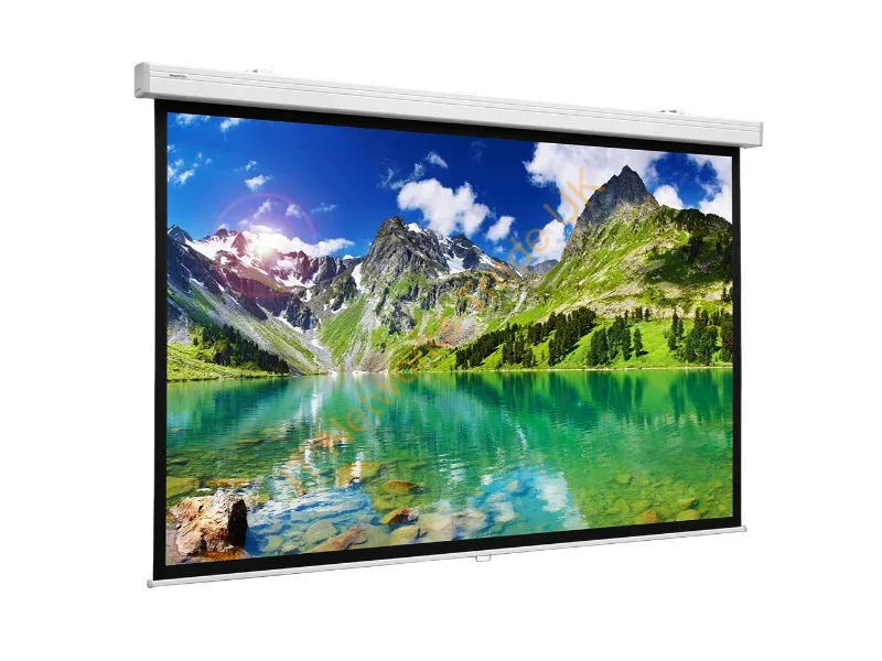 10200376 - Da-Lite Hapro CSR projection screen 3.78 m (149") 16:9