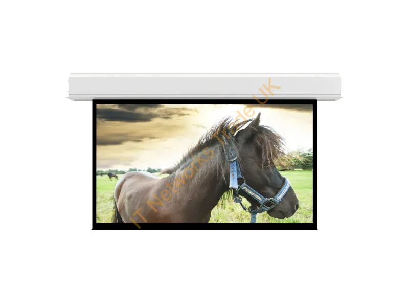 14202EFL - Da-Lite Advantage Series Projection Screen 278" 16:10
