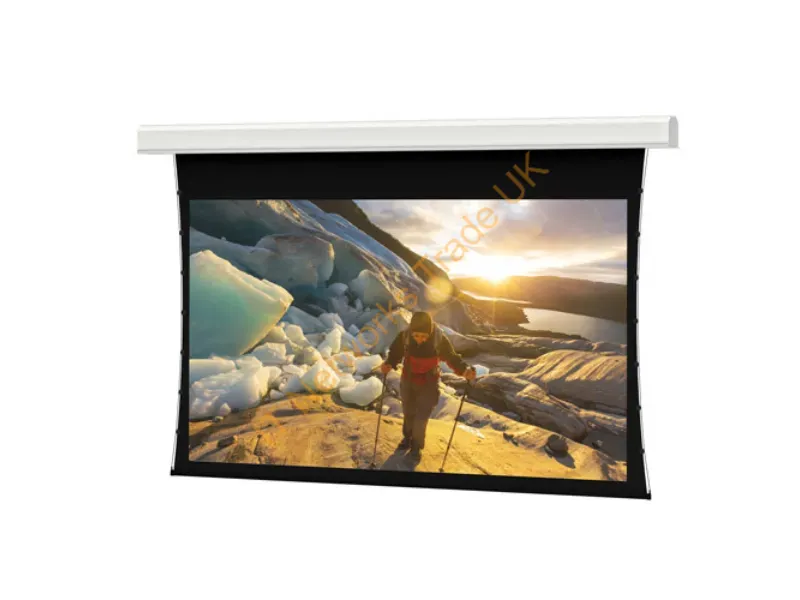 36927EF - Da-Lite Tensioned Advantage Projection Screen 298" 16:9