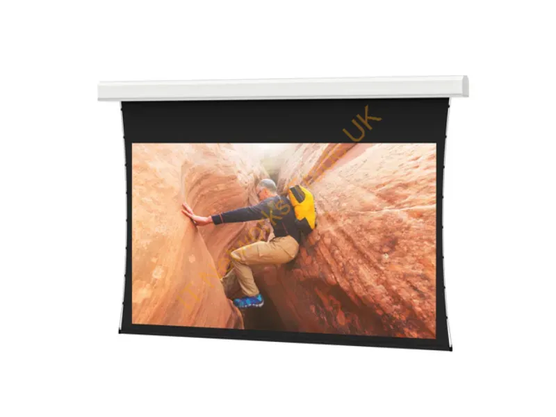 37040FL - Da-Lite Tensioned Advantage Series Projection Screen 275" 16:9