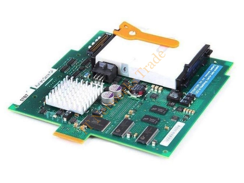 44V3139 IBM SAS PCI Express Raid Enablement Cache Daughter Card Server Accessory