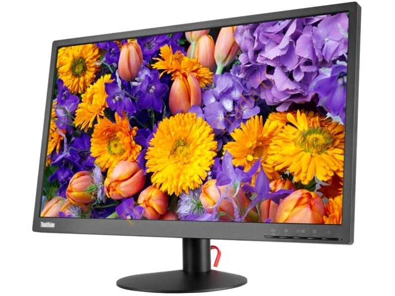 61B7JAT6UK - Lenovo ThinkVision E24 23.8" Full HD LED Flat Black computer monitor