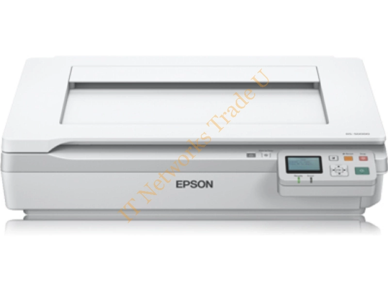 B11B204131BU - Epson WorkForce DS-50000N Flatbed scanner 600 x 600DPI A3 White