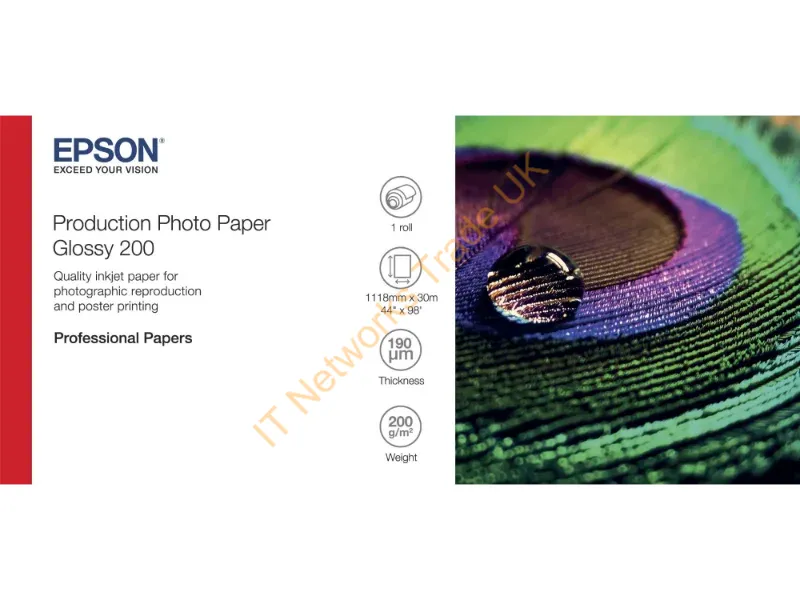 C13S450373 - Epson Production Photo Paper Glossy 200 44" x 30m