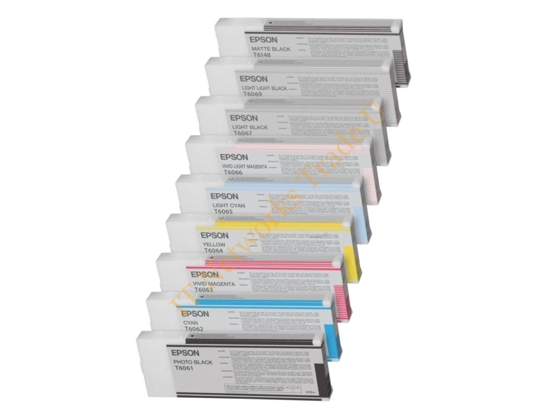 Epson C13T606900 (T6069) Ink cartridge bright bright black, 220ml Printer