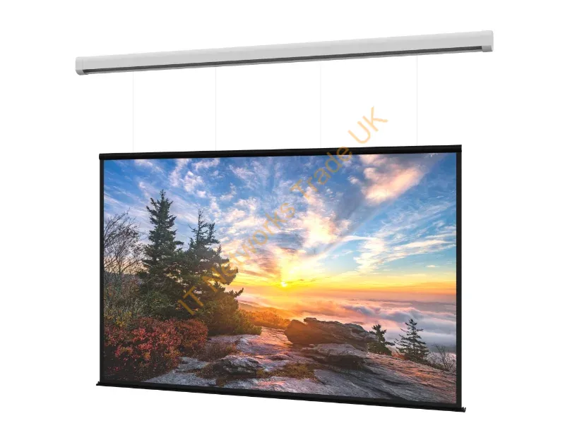 DL100206EL - Da-Lite Myriad Reveal Projection Screen 220" 16:9