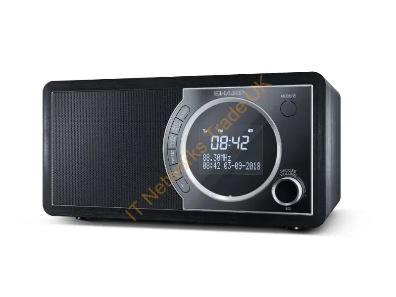 DR-450(BK) - Sharp DR-450 Digital Radio Black
