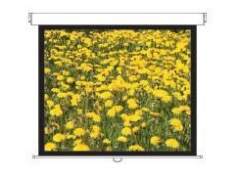 DS-3120PMG+ - Optoma DS-3120PMG+ 120" 4:3 White projection screen Accessory