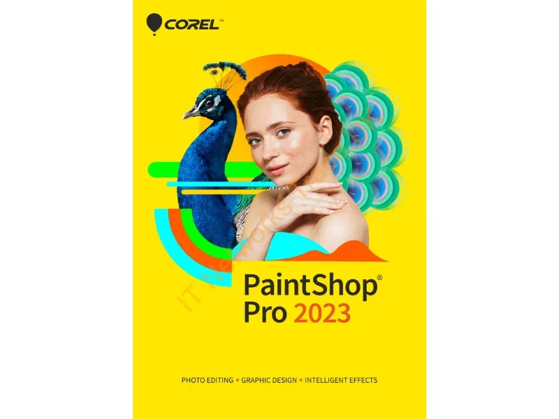 ESDPSP2023ML - Corel PaintShop Pro 2023 Graphic editor 1 license(s)