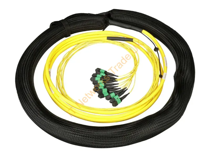 F8ANM5E5EAAM100 - Panduit Os2 144F I/O Trunk Mpo F/Mpo F