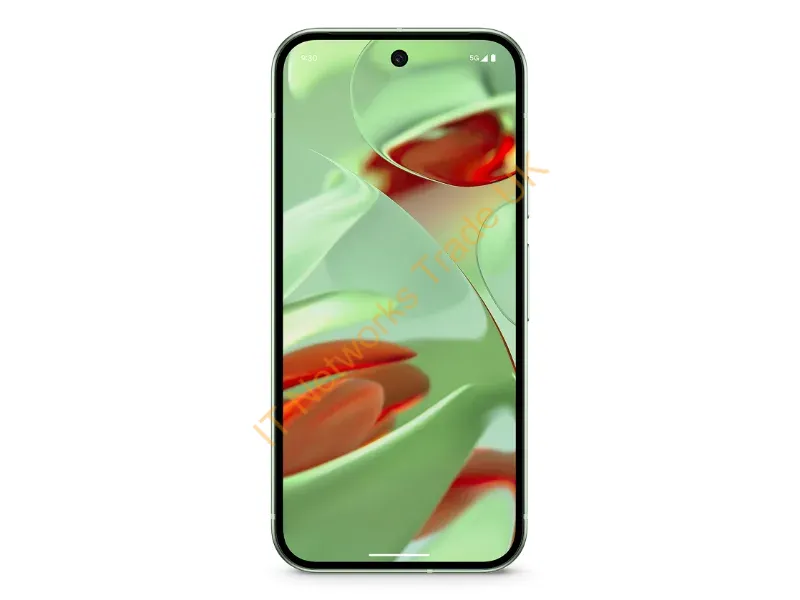 GA05844-GB - Google Pixel 9 16 cm (6.3"), 12 GB, 256 GB, 50 MP, Android 14, Wintergreen
