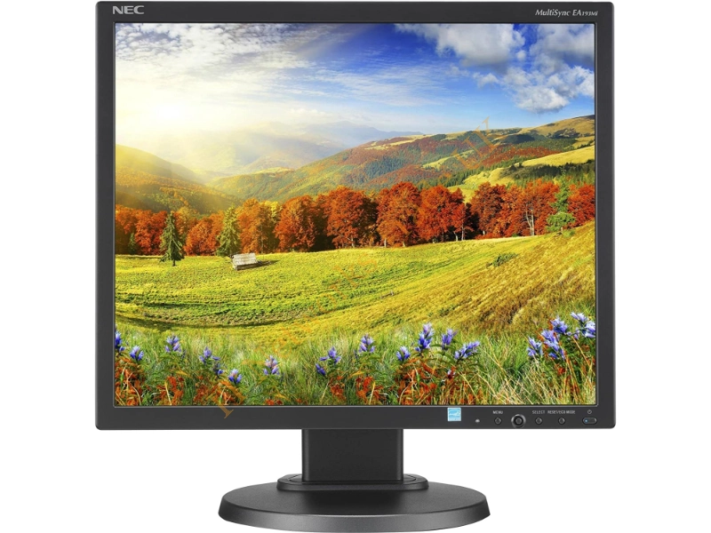LCD1970V-12734 NEC MultiSync 19-inch LCD Monitor