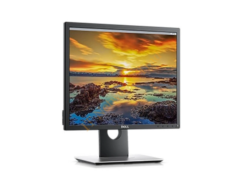 P1917S Dell P1917S 19-inch 1280 x 1024 TFT Active Matrix DisplayPort/HDMI/USB 2.0/USB 3.0/VGA  LED Monitor