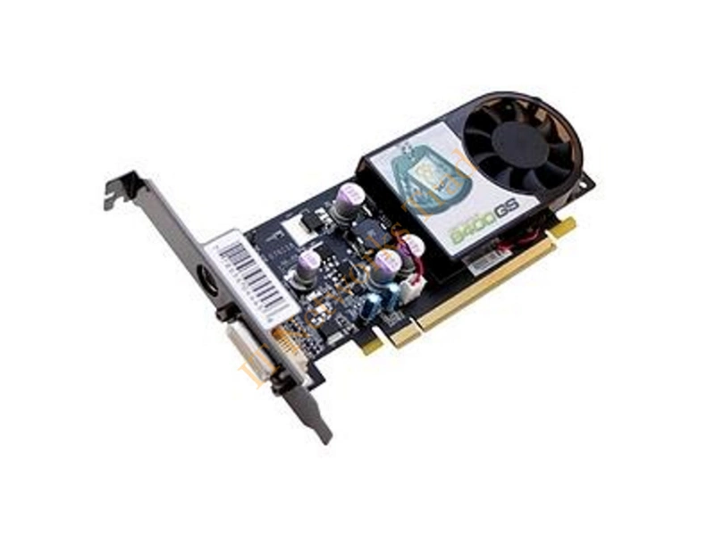 PV-T86S-WML4 XFX GeForce 8400GS 256MB DDR2 Dual Monitor Low Profile Solution PCI Express Video Graphics Card