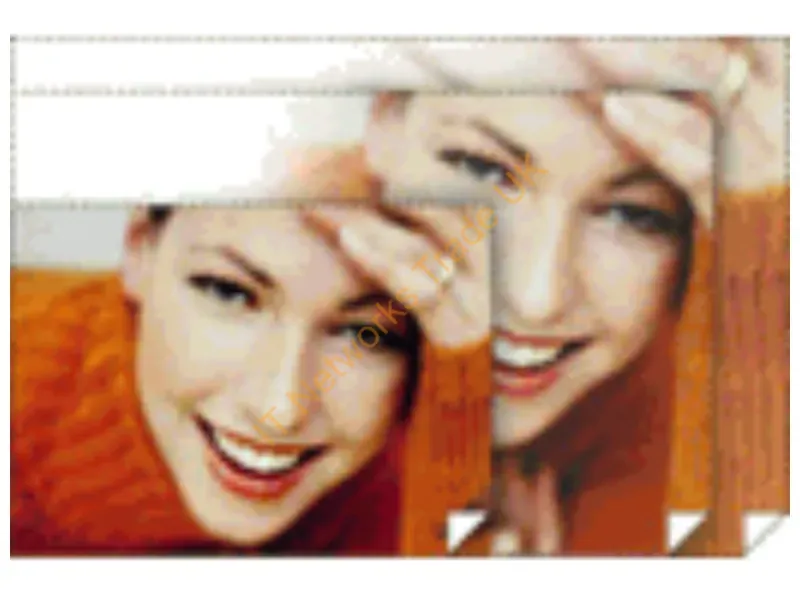 S042092 - Epson Premium Photo Paper Glossy 17" X 22" 25S