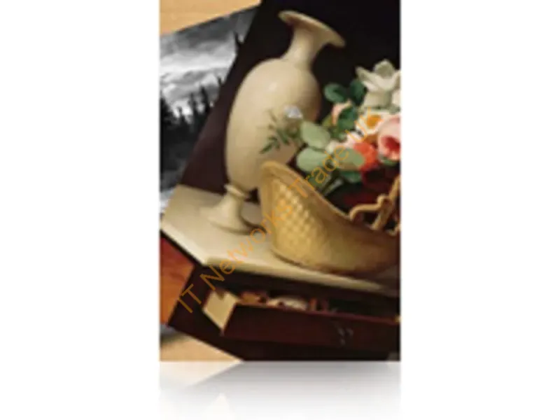 S042134 - Epson Premium Luster Photo Paper Premium-Gloss
