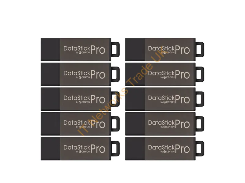 S1-U2P1-2G100PK - Centon Datastick Pro Usb Flash Drive 2 Gb Usb Type-A 2.0 Grey