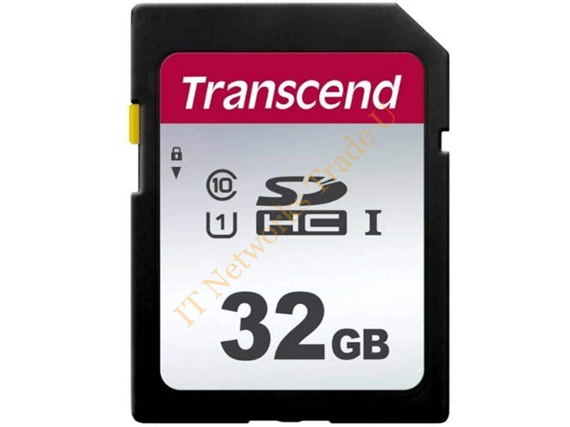 SDHC-32GB-10-SI Gigaram 32GB Class 10 9-Pin SDHC Flash Memory Card