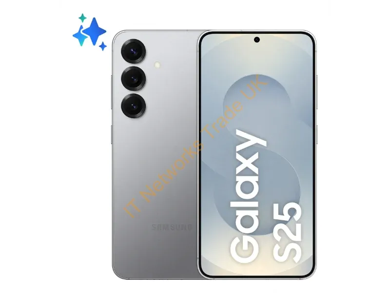 SM-S931BZSGEUB - Samsung Galaxy S25 15.8 cm (6.2") Dual SIM Android 15 5G USB Type-C 12 GB 256 GB 4000 mAh Silver
