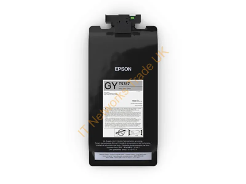 T53E720 - Epson Utrchrm Pro6 Photo Gray Ink