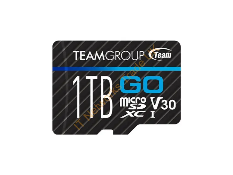 TGUSDX1TU303 - Team Group Go Memory Card 1000 Gb Microsdxc Class 3