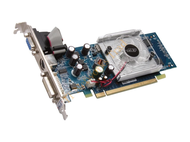VCG84R2SXEB PNY GeForce 8400GS Gen. 2 256MB DDR2 PCI Express 2.0 DVI/ VGA/ HDTV/ S-Video Low Profile Video Graphics Card